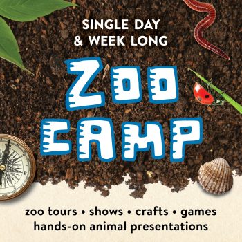 Single Day and Week Long Zoo Camp