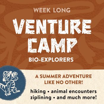 Venture Camp